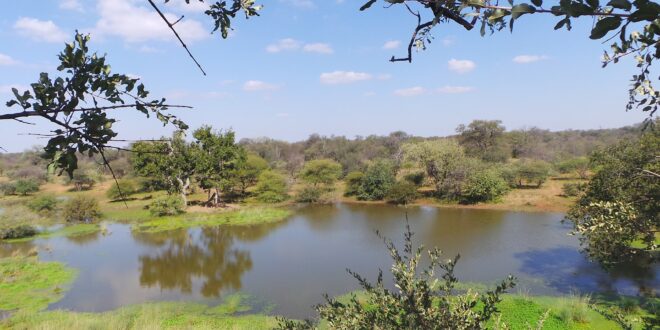 Limpopo Nationalpark